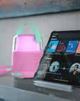 Enceinte KS-80 - ROSE