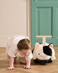 Aiden Cat Carrier