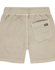 Big Wave Crockery Shorts