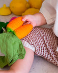 Cathy the Carrot Mini Doudou-Teether