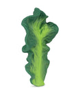 Kendall the Kale