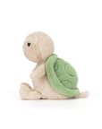 Thimble Turtle