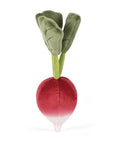 Radis légume vivace