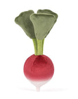 Radis légume vivace