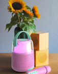 Enceinte KS-80 - ROSE
