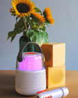 Enceinte KS-80 - GRIS