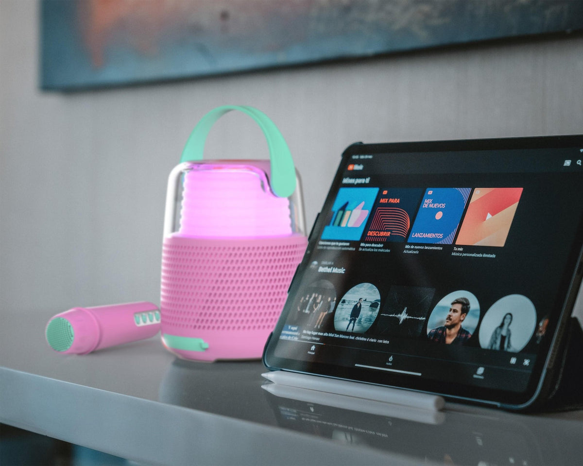 Enceinte KS-80 - ROSE