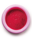 Dippy Cerise Large