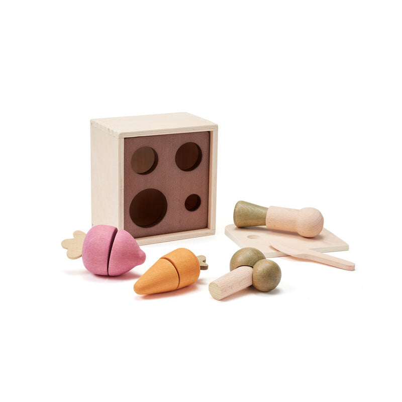 Boîte potager en bois KID'S HUB
