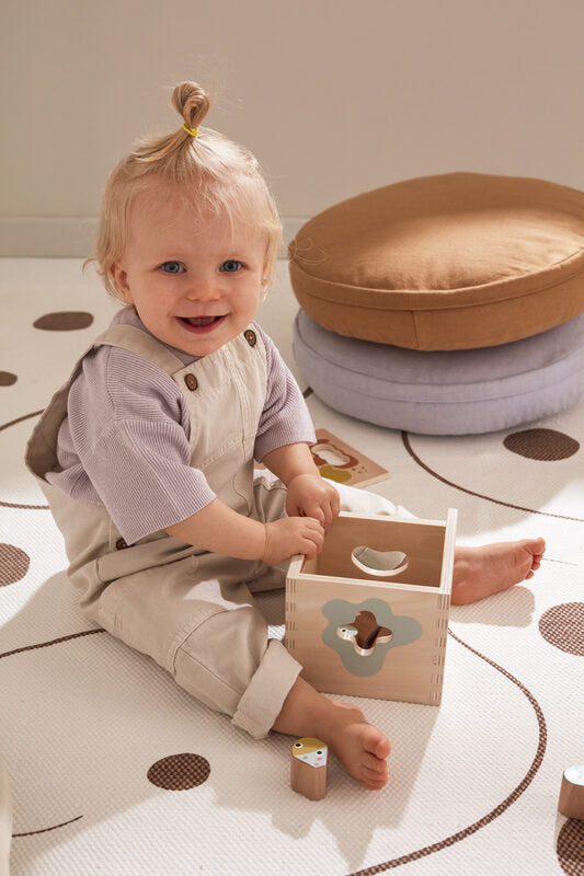 MicroNeo NEO shape sorter