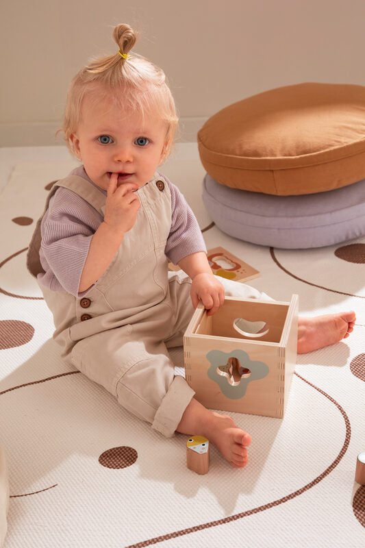 MicroNeo NEO shape sorter