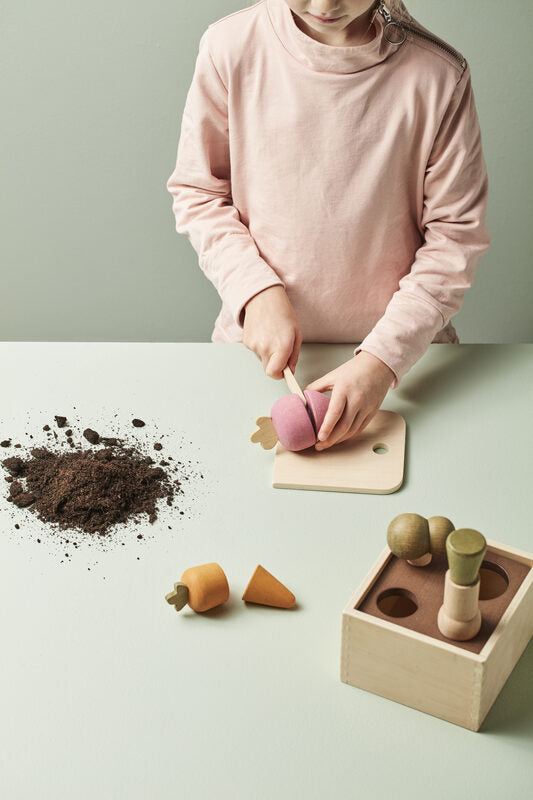 Boîte potager en bois KID'S HUB
