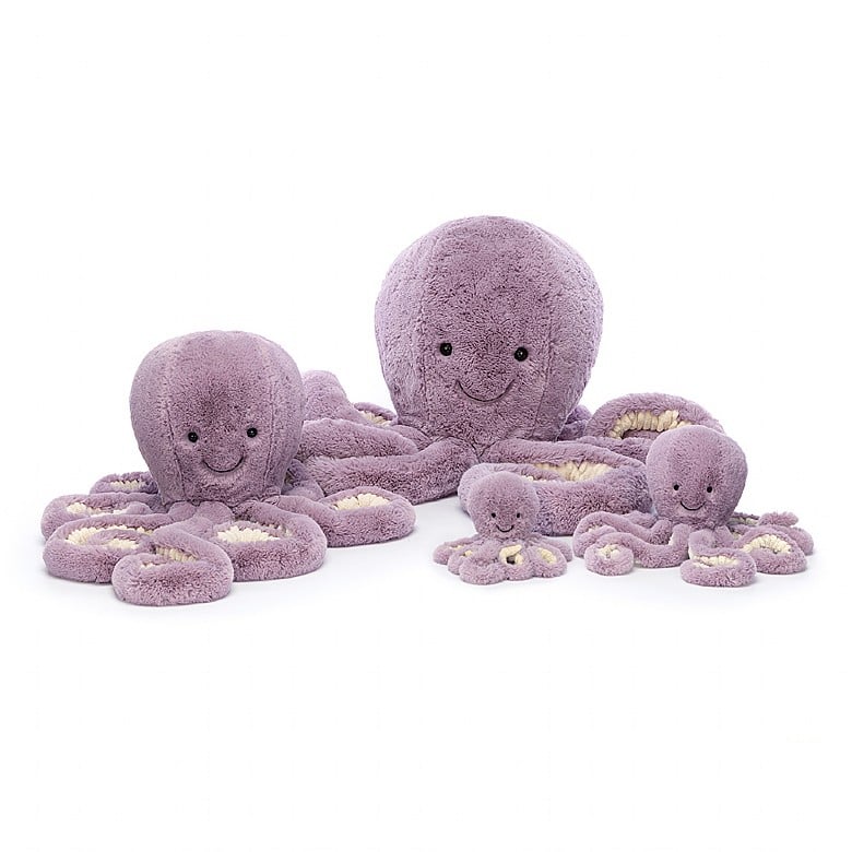 Maya Octopus Little