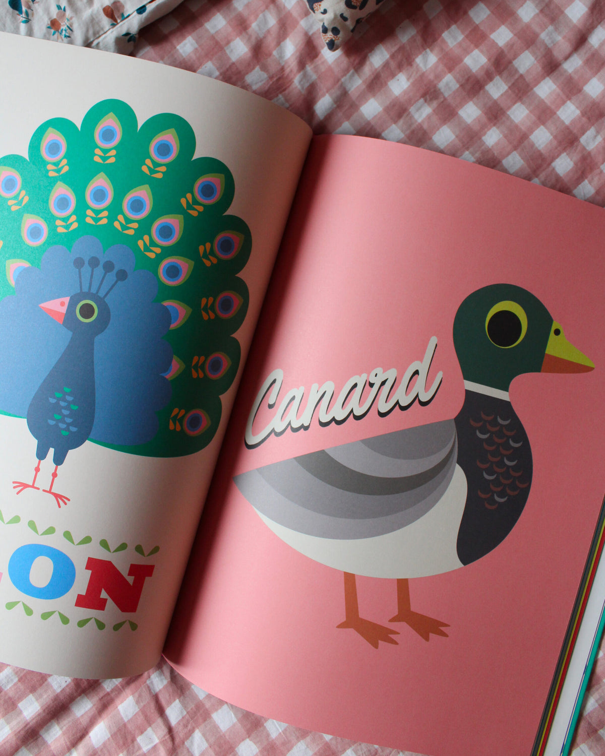 Animaux – 66 animaux, grand livre d'images Marcel &amp; Joachim : un beau livre à offrir