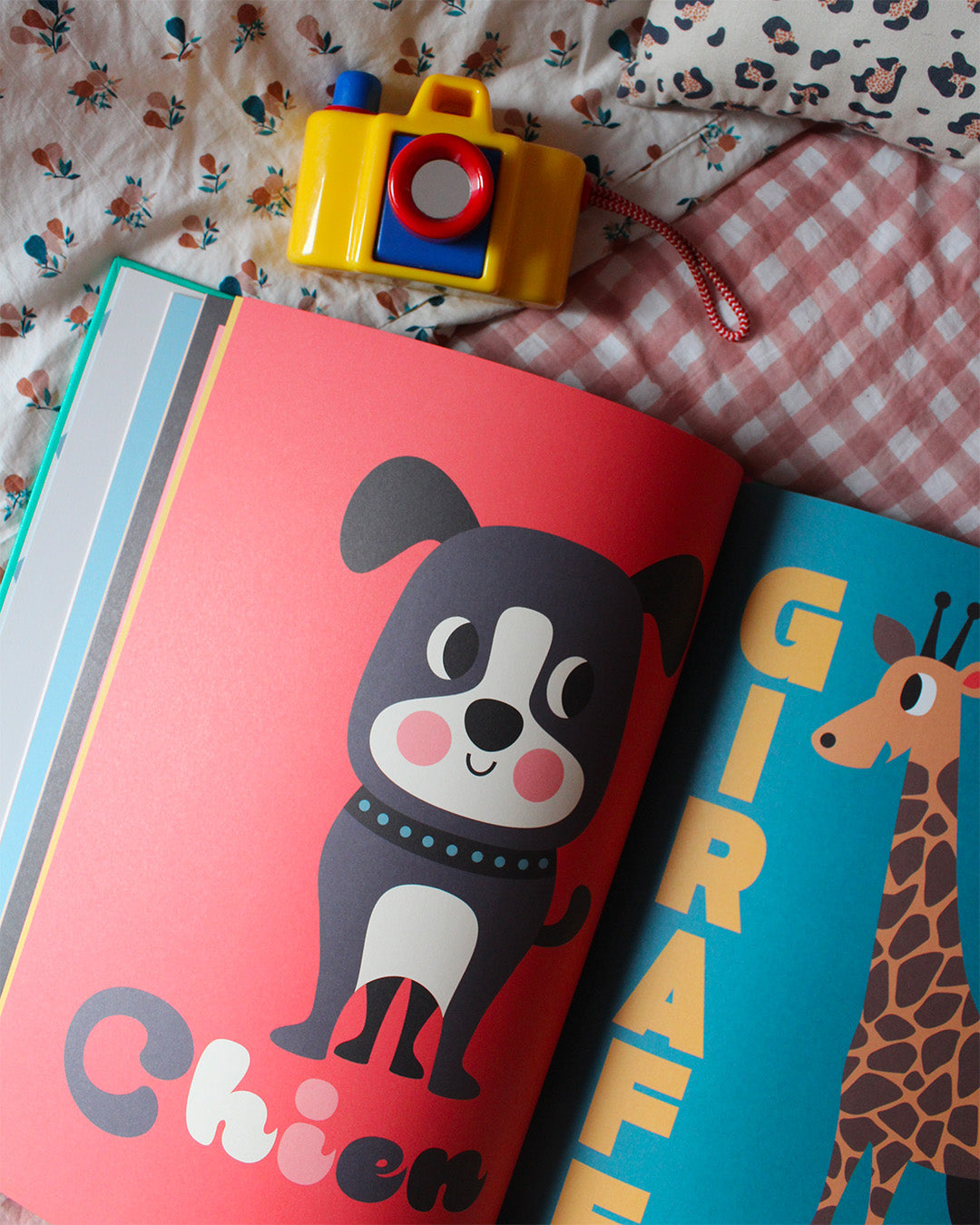 Animaux – 66 animaux, grand livre d'images Marcel &amp; Joachim : dès 2 ans