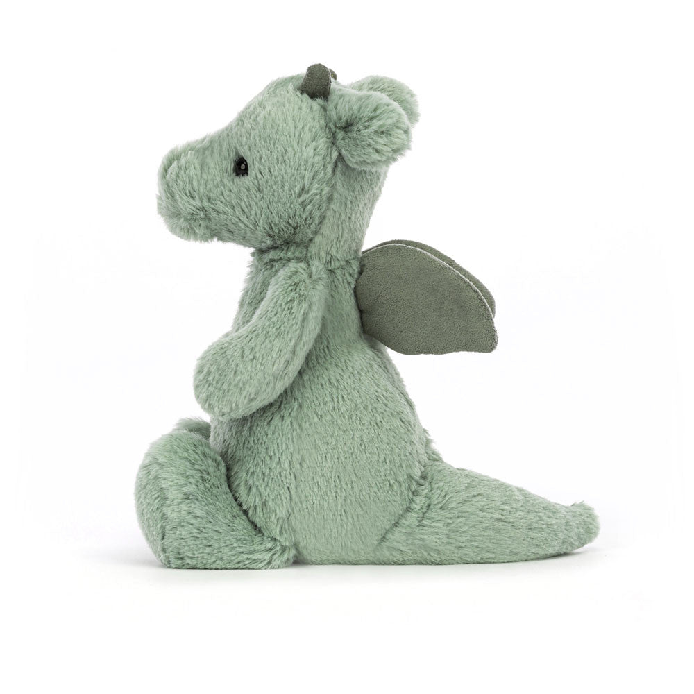 Petit Dragon Timide