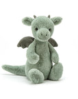 Petit Dragon Timide