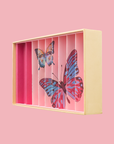 Box Butterflies Anamorphic