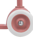 Eco Scooter Raspberry