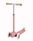 Eco Scooter Raspberry