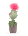 Priscilla Carniflore