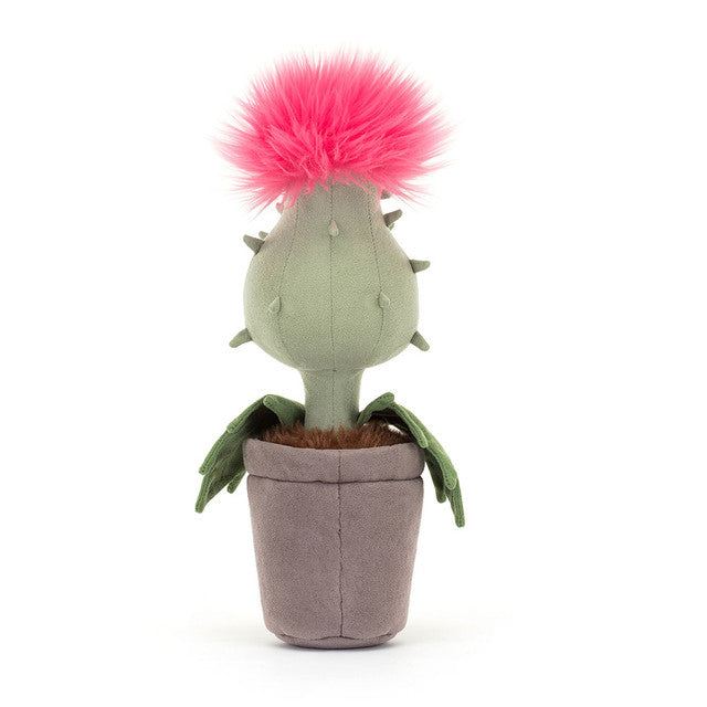 Priscilla Carniflore