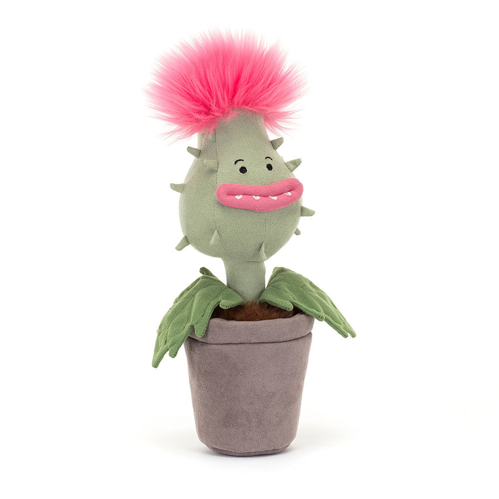 Priscilla Carniflore