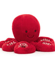 Large Cranberry Octopus