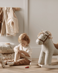 AIDEN animal grooming kit