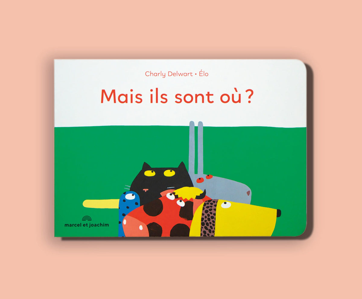 Livre cartonné pour premier âge Mais ils sont où ? de Charly Delwart, Marcel &amp; Joachim : texte de Charly Delwart