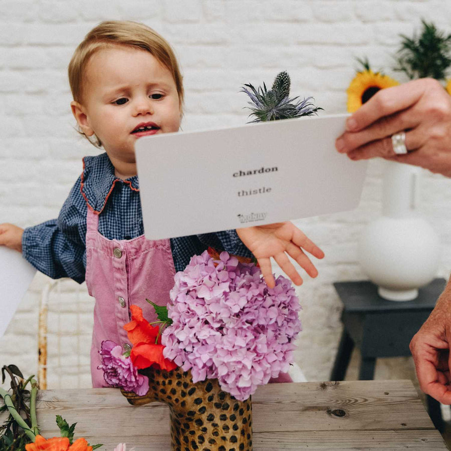 Mondy des Petits Curieux