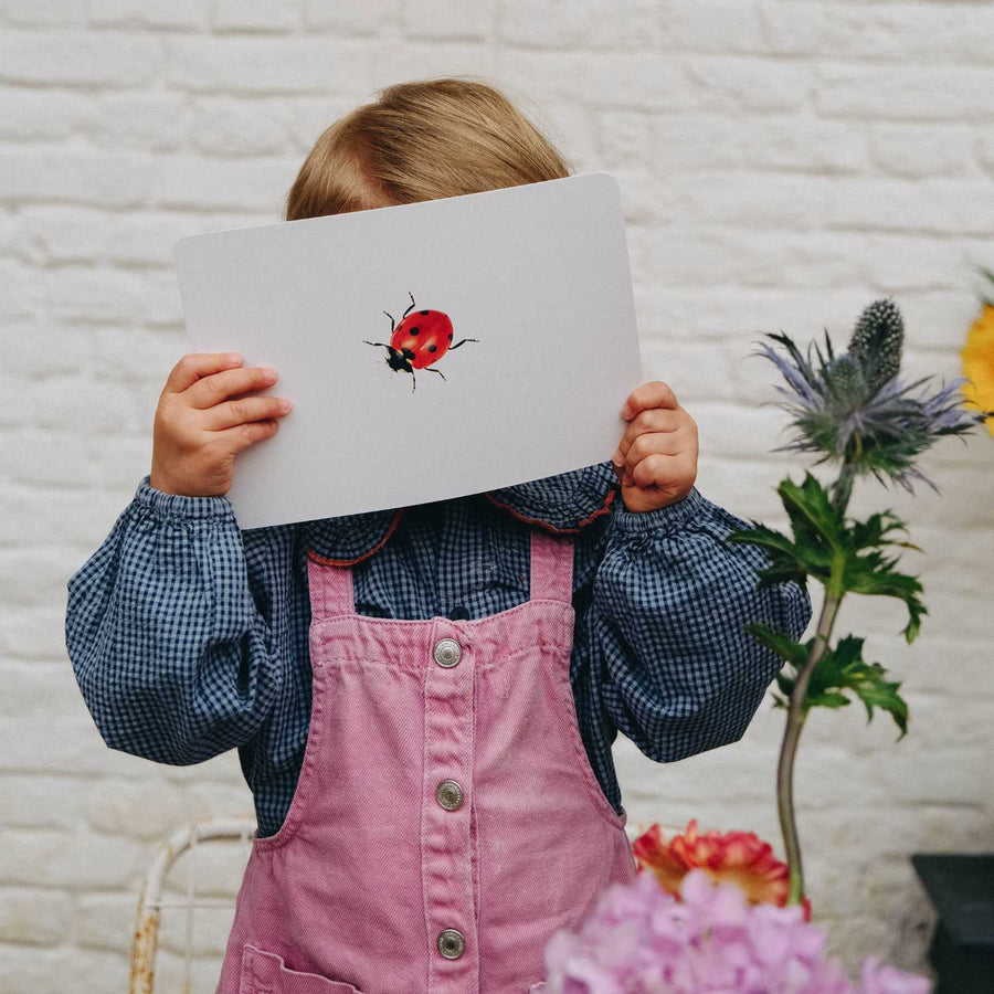 Mondy des Petits Curieux