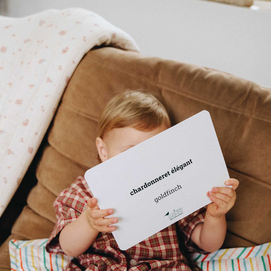 Mondy des Petits Curieux