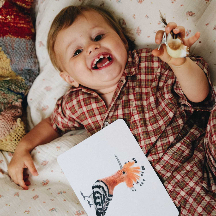 Mondy des Petits Curieux