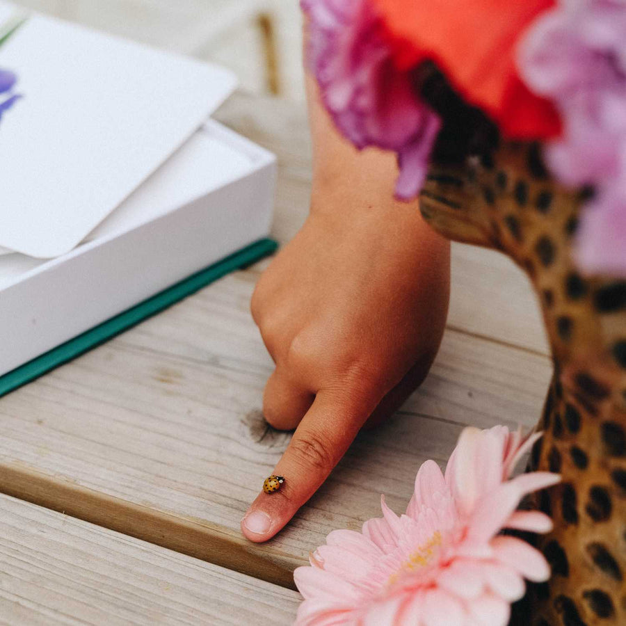 Mondy des Petits Curieux