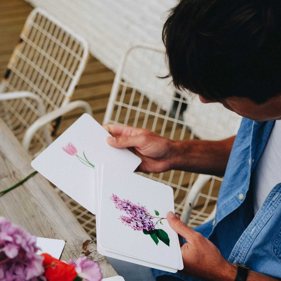 Mondy des Petits Curieux