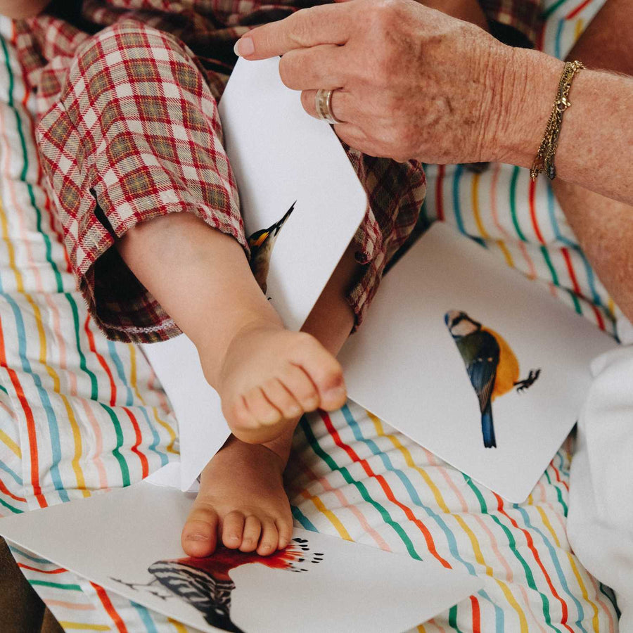 Mondy des Petits Curieux