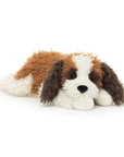 Floofie Saint Bernard
