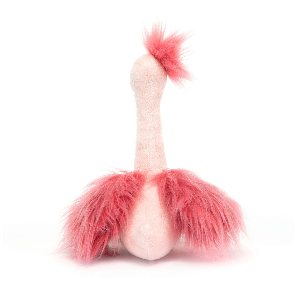 Crazy Crazy Ostrich