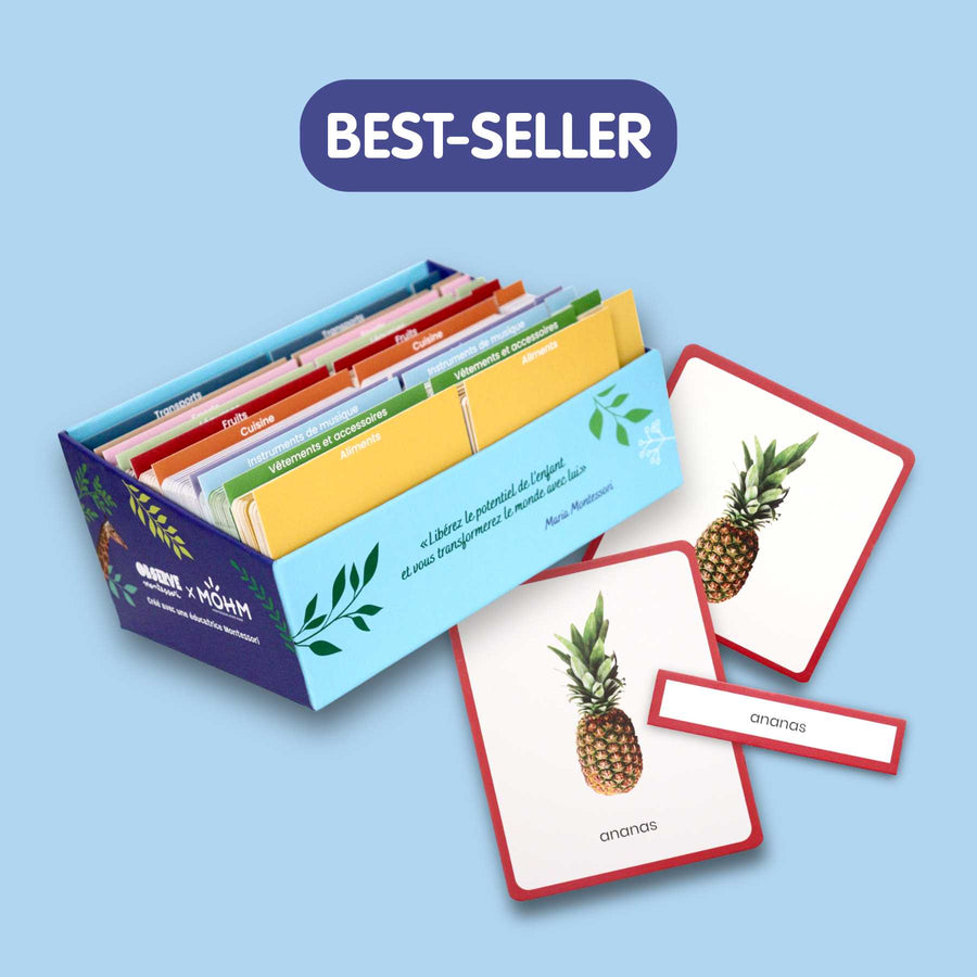 Giga Mondy, cartes de nomenclature Montessori