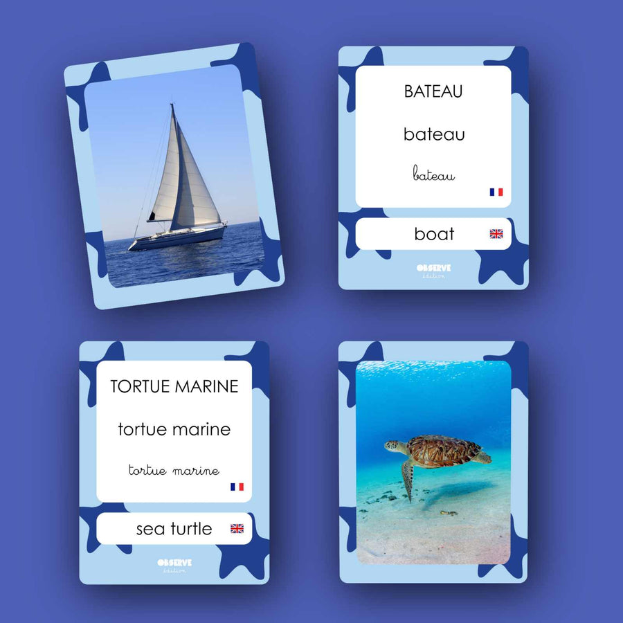 Cartes Flash - Matériel de vocabulaire, lecture et écriture - MERS & OCÉANS