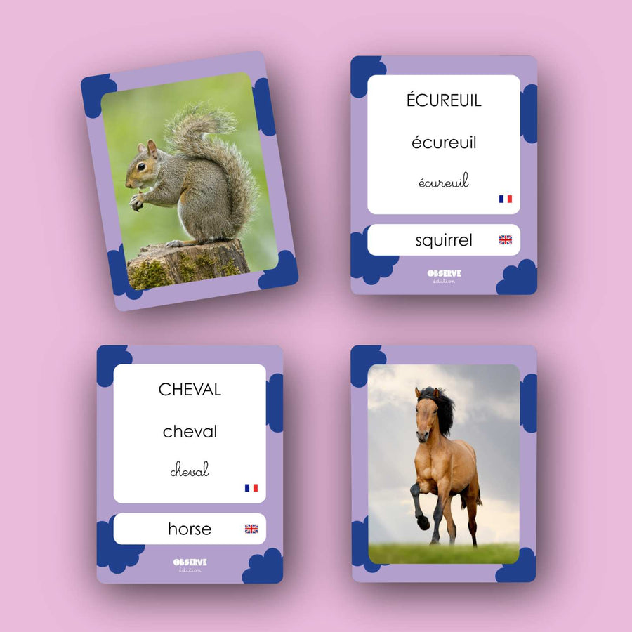 Cartes Flash - Matériel de vocabulaire, lecture et écriture - ANIMAUX