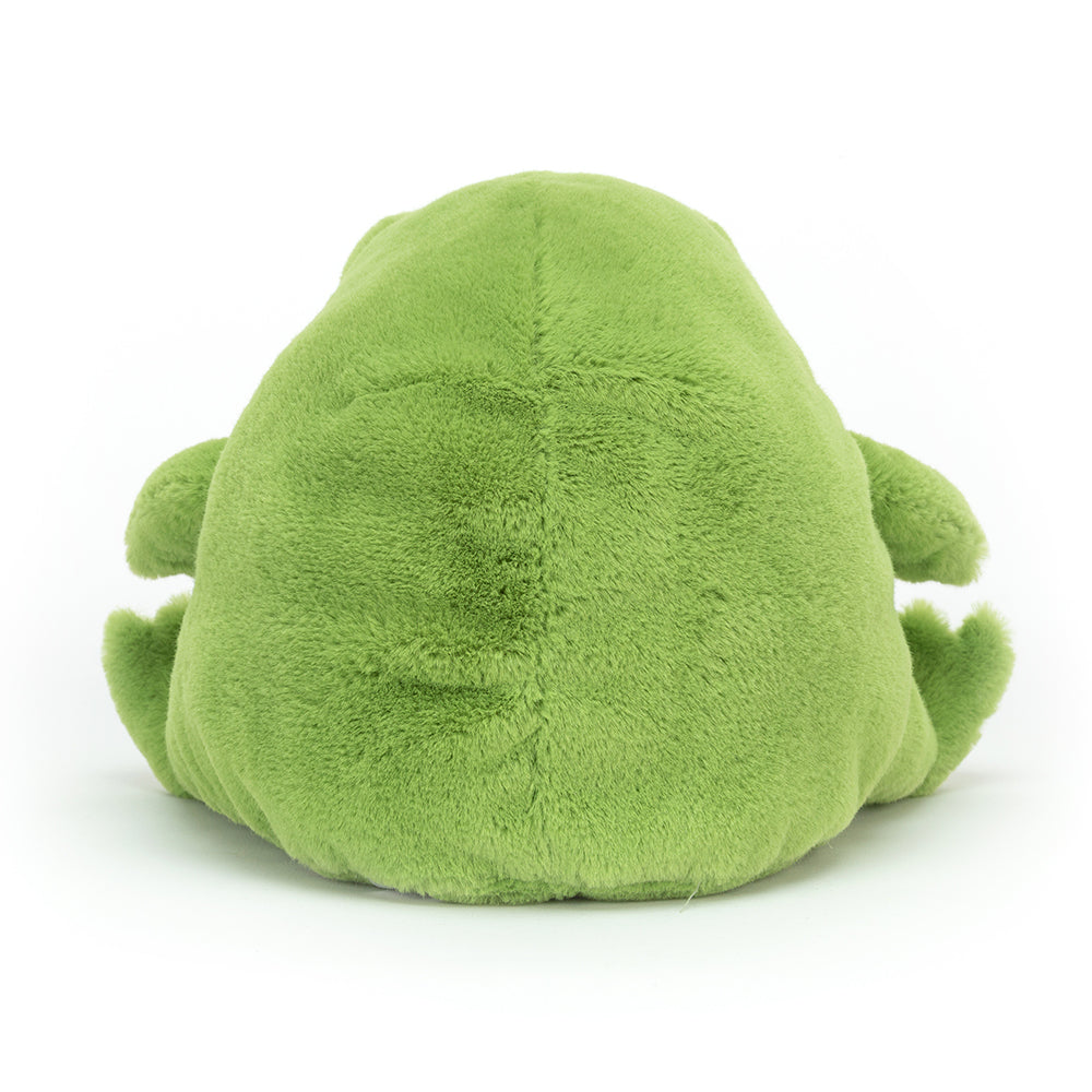 Ricky Rain Frog Jellycat, photo 3 sur 3