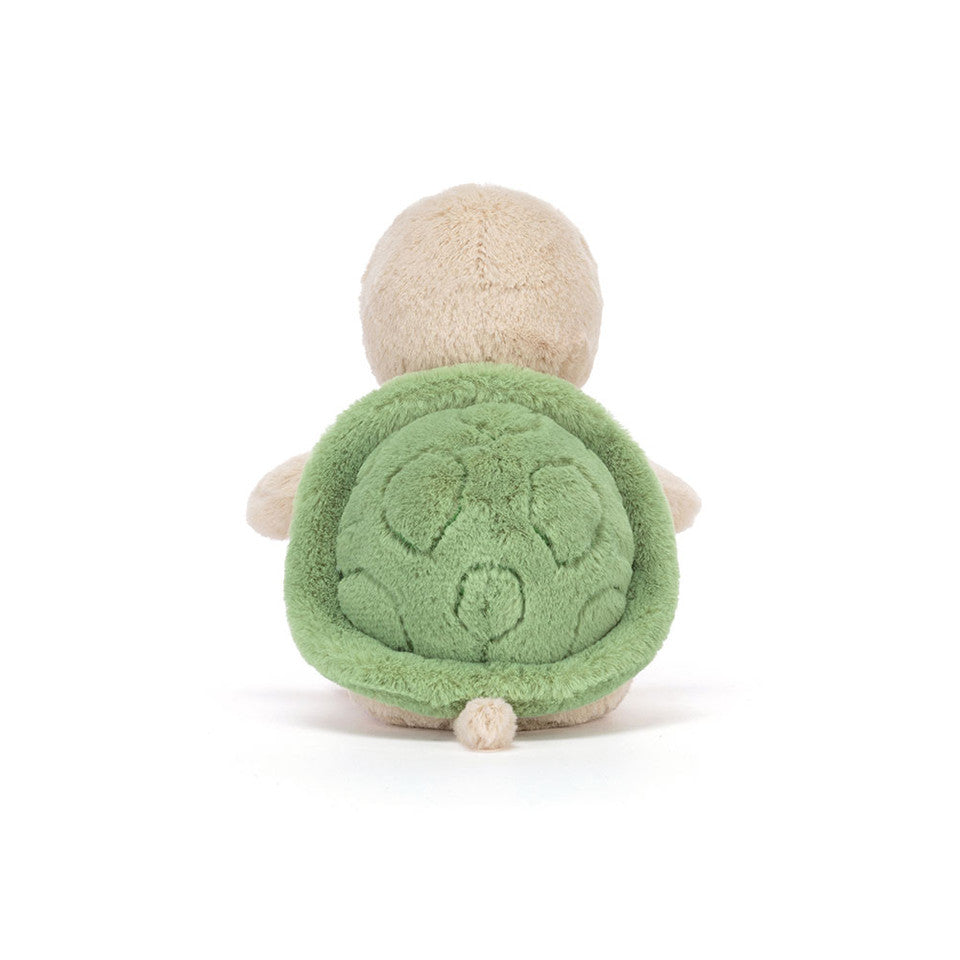 Thimble Turtle