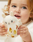Silicone Rattle Bunny