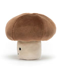 Champignon légume plein de vie