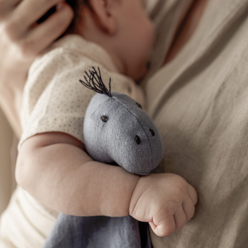 NEO blue linen Dino comforter