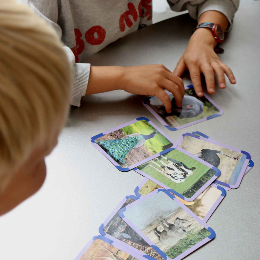 Cartes Flash - Matériel de vocabulaire, lecture et écriture - ANIMAUX