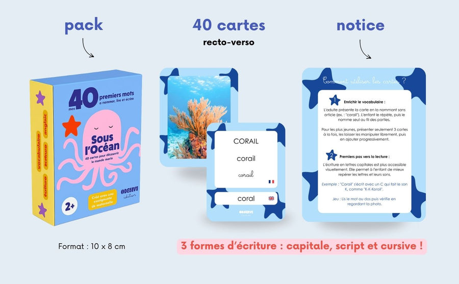 Cartes Flash - Matériel de vocabulaire, lecture et écriture - MERS & OCÉANS