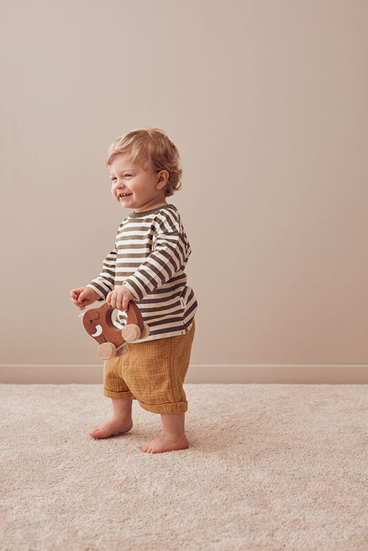 NEO brown mammoth pull toy